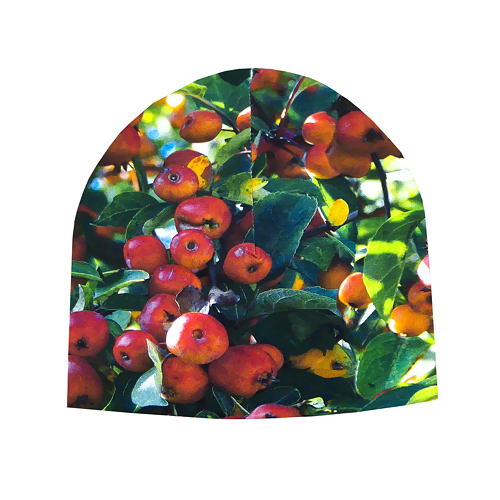 KÄRT-KEVAD/SÜGISMÜTSID