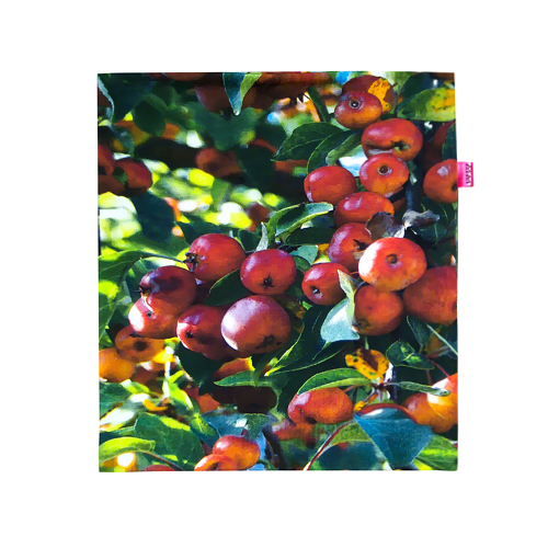 KÄRT-KEVAD/SÜGISSALLID